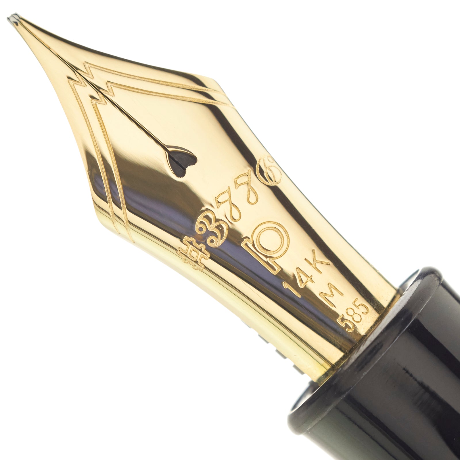 Platinum 3776 Century Yakusugi - nibs.com